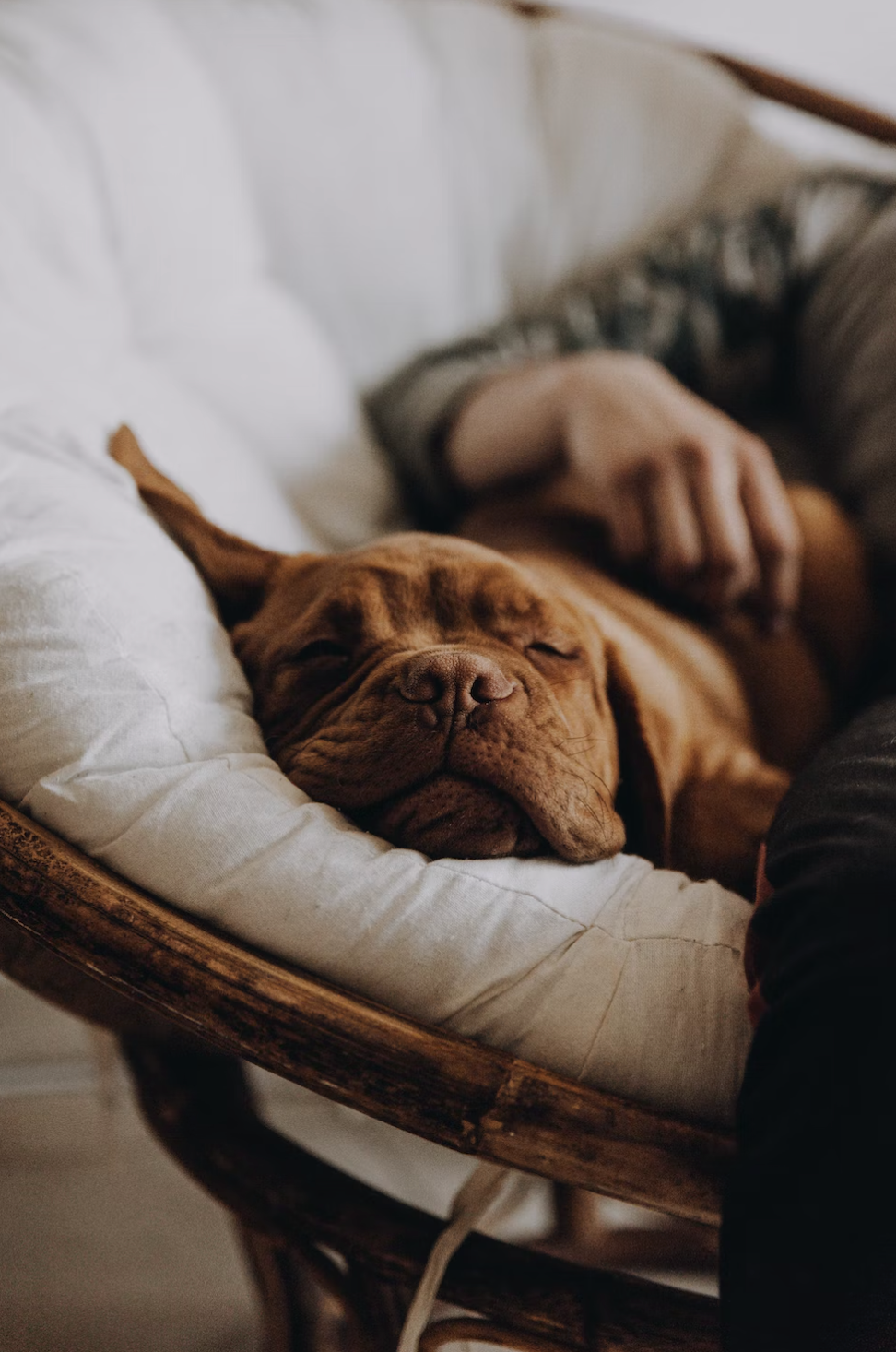 Role of your sleeping position in getting a good nights sleep