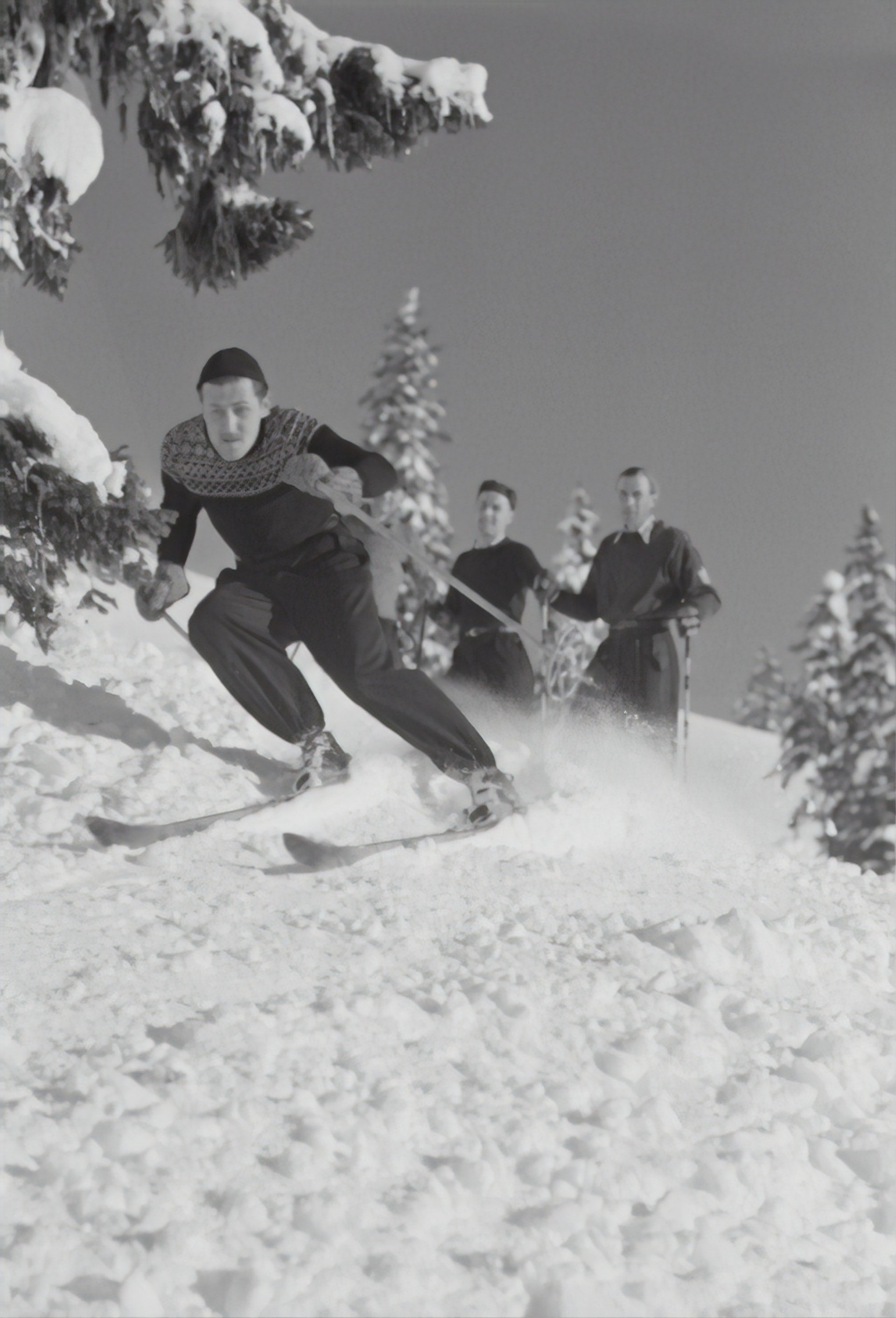 What is nordic skiing?