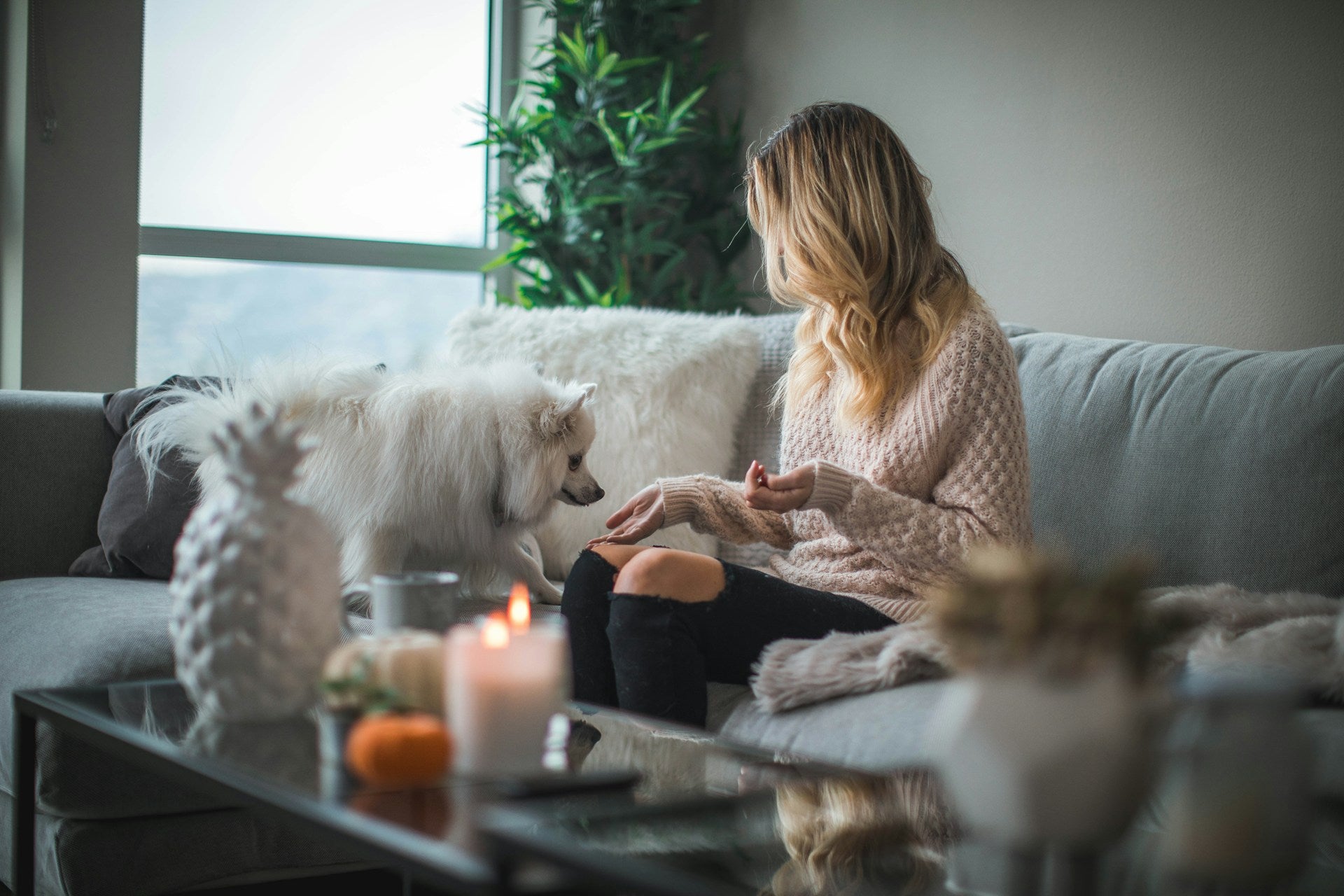 Transforming Your Home for the New Year: A Guide to Elegant Décor