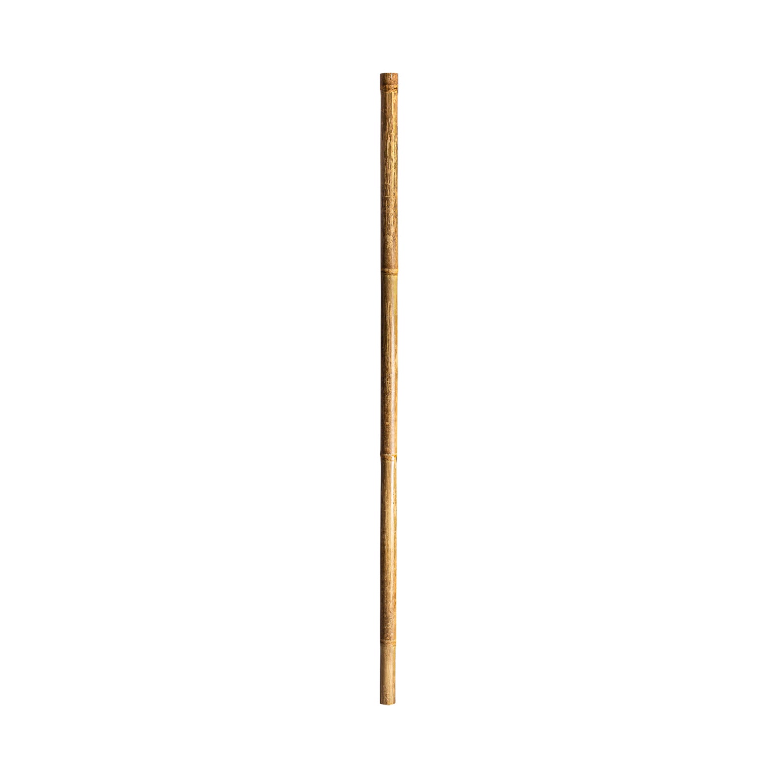 DECORATIVE CANE