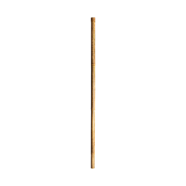 DECORATIVE CANE