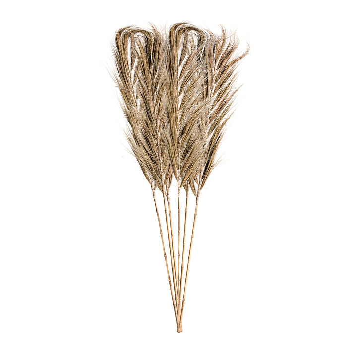 DECARATION BRANCH (SET OF 6)