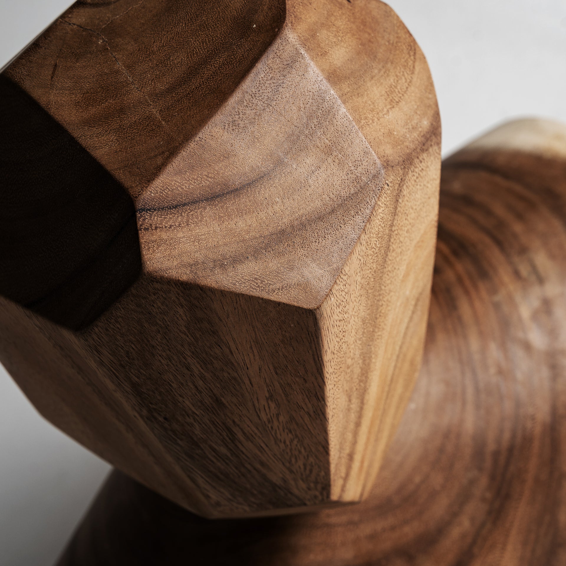 TOTEEMI-KORISTEHAHMO