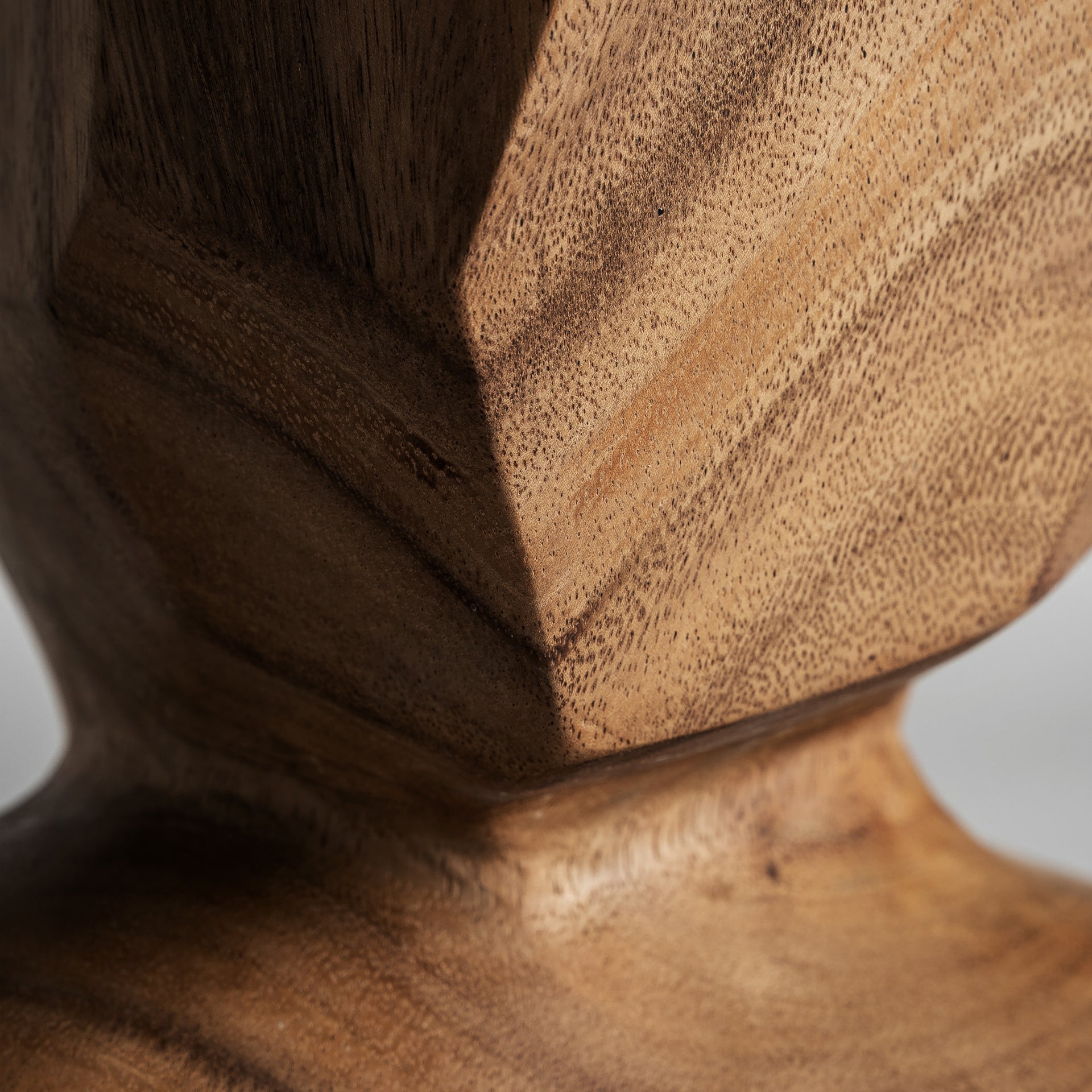 TOTEEMI-KORISTEHAHMO