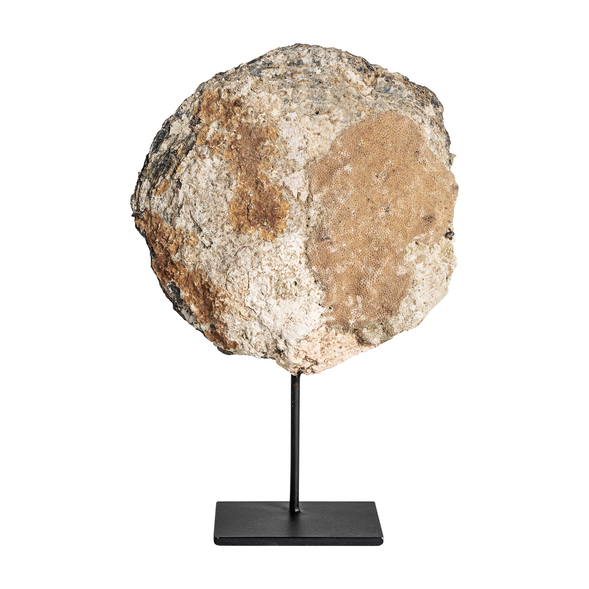 Skulptur Skal Nordic Shell -figuuri