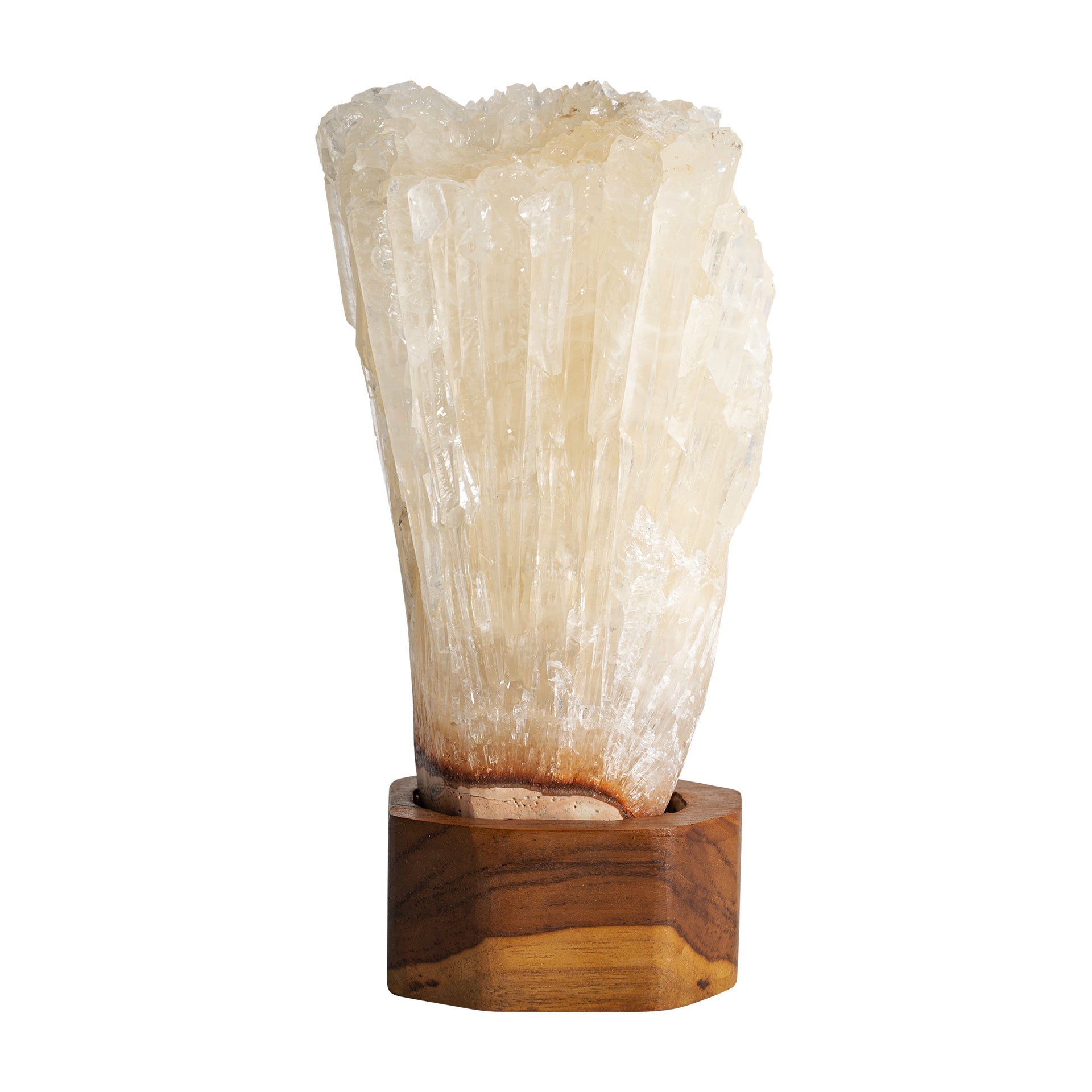 KORISTEELLINEN HAHMO