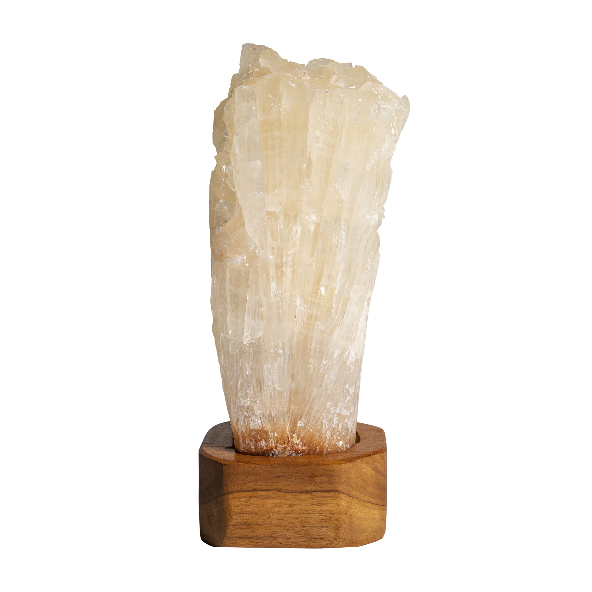 KORISTEELLINEN HAHMO