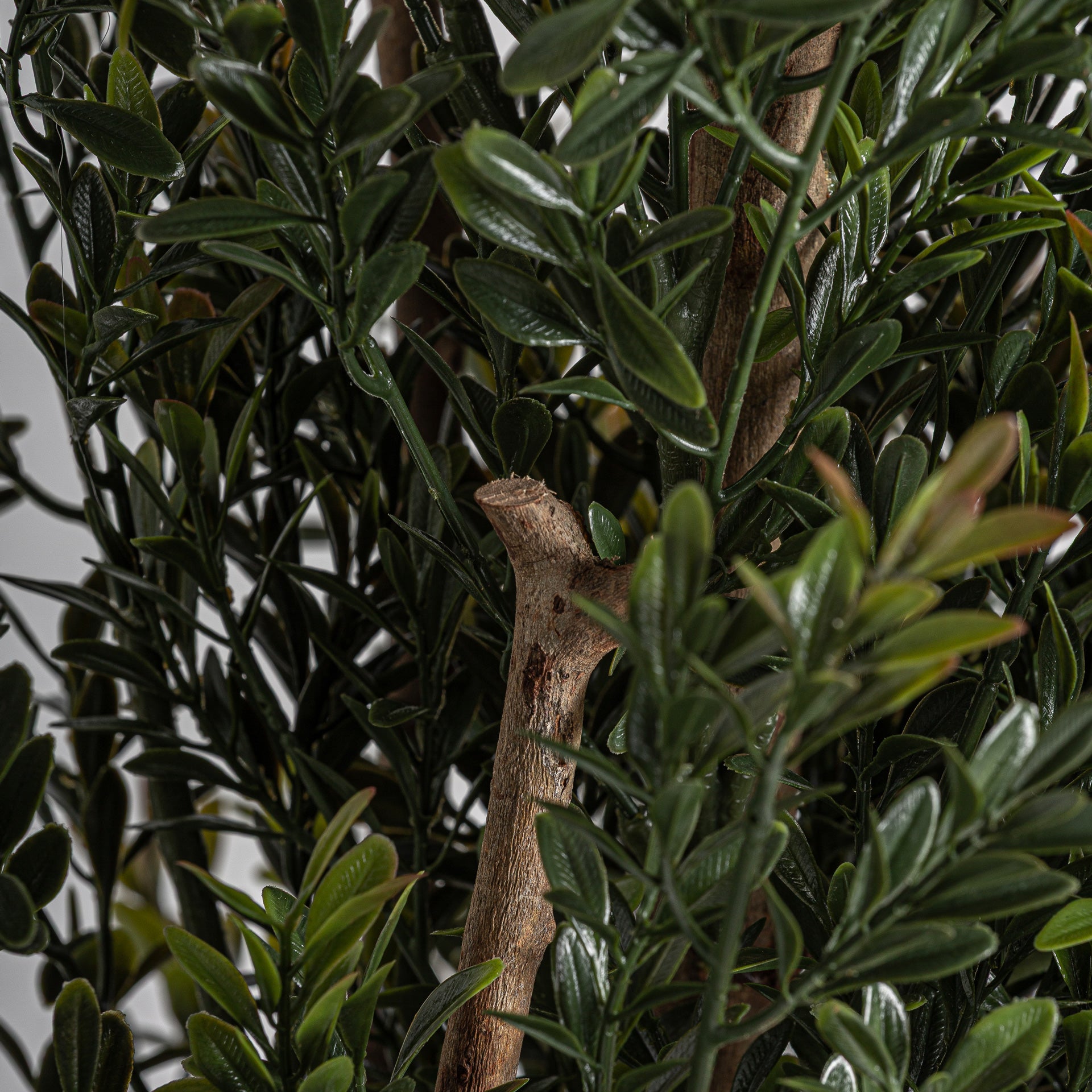 Kvist Faux Topiary Plant in Green with Brown Wood Pot