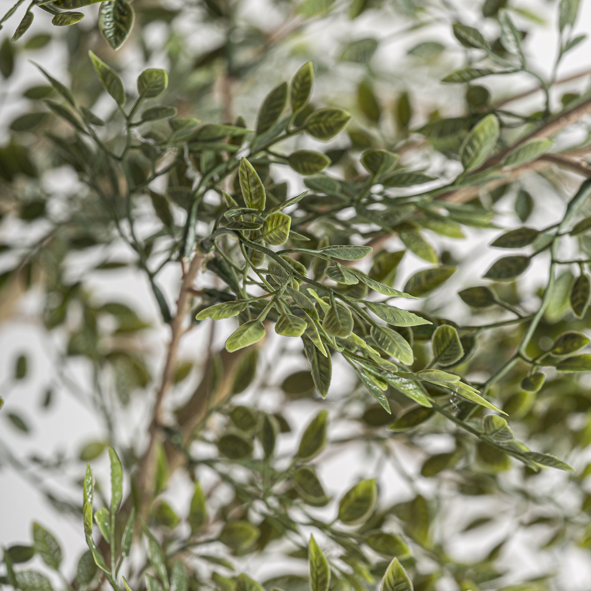 Gran Faux Olive Plant in Green with Black Concrete Pot