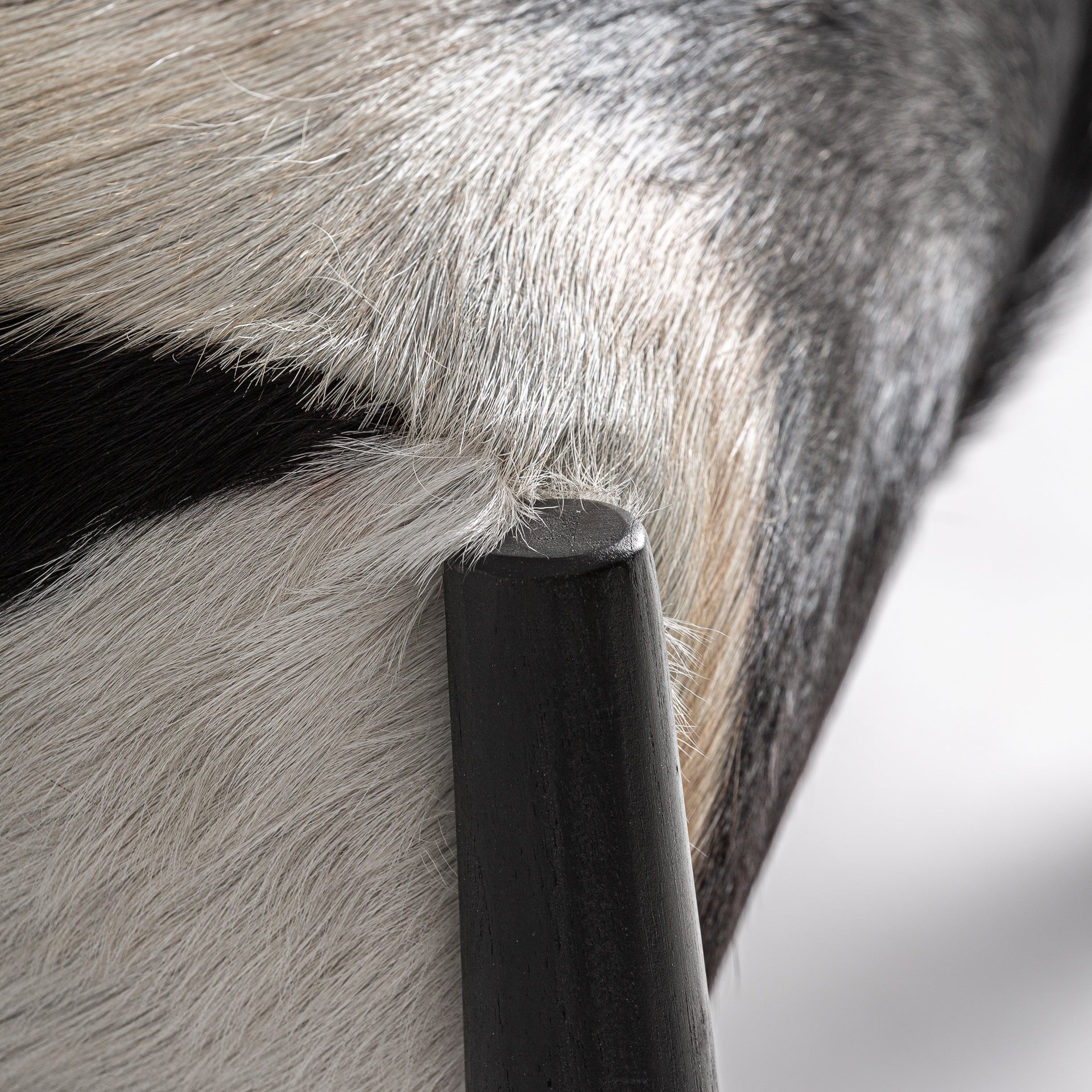 Mier Contemporary Armchair - Teak Wood & White Leather