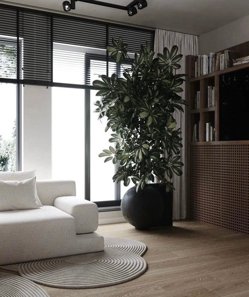 SNOWY-sohva – Matalat linjat, syvä mukavuus