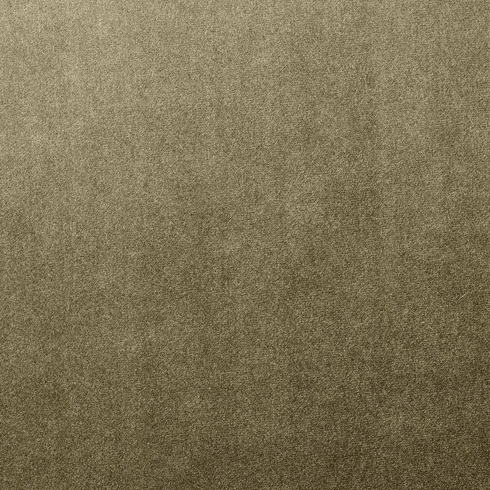 Vernon Olive -samettinen rahi