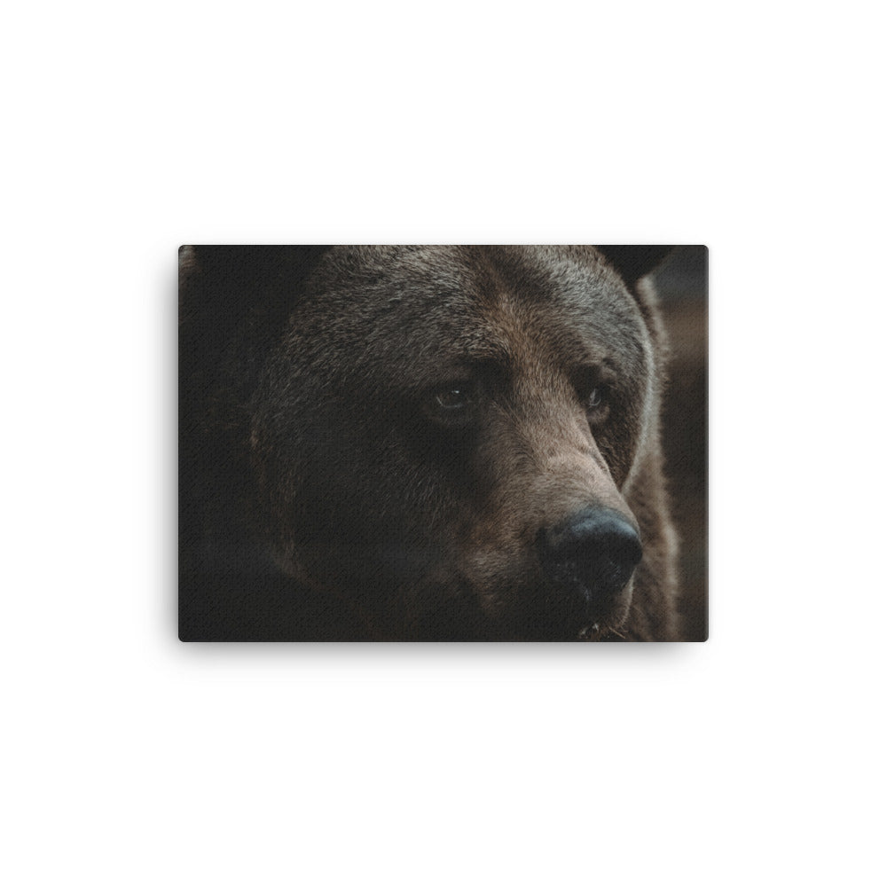 King Of The Forest Canvas