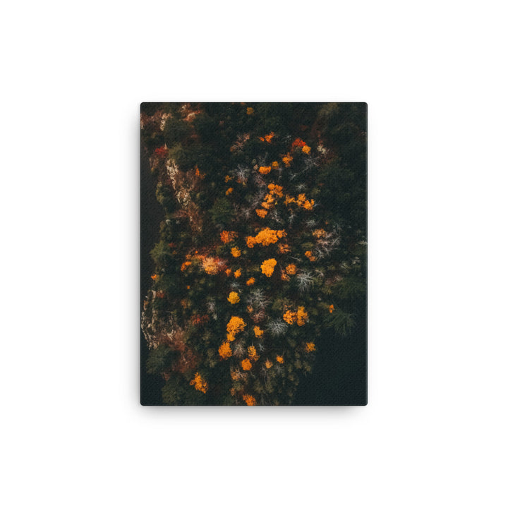 Walk in Forest Canvas