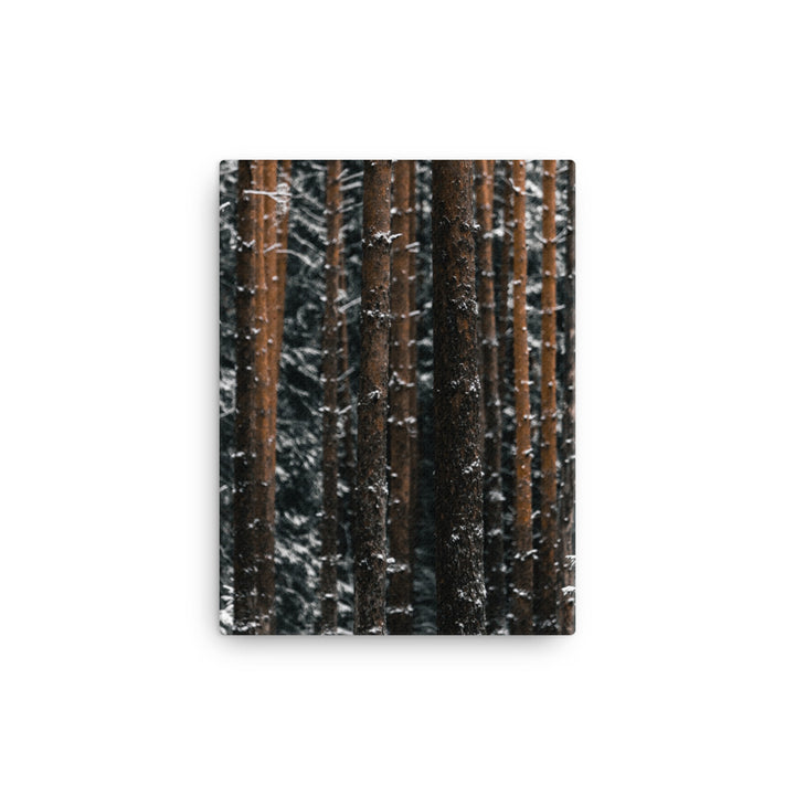 Suomalainen talvikangas