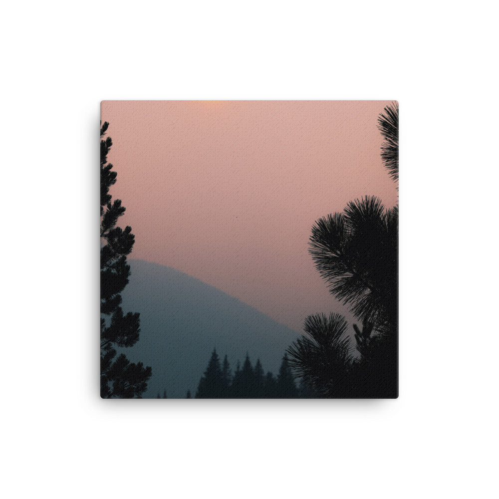 Forest Canvas Print