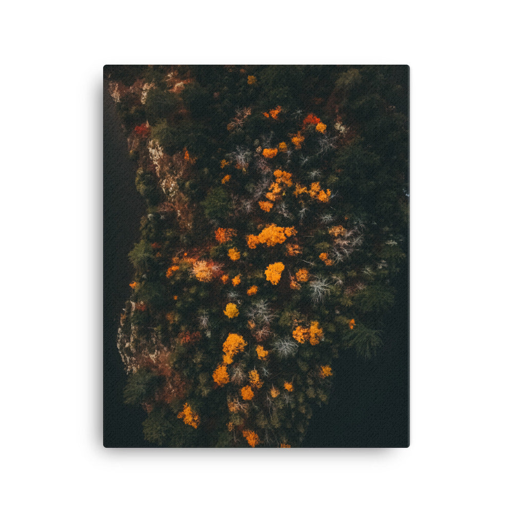 Walk in Forest Canvas