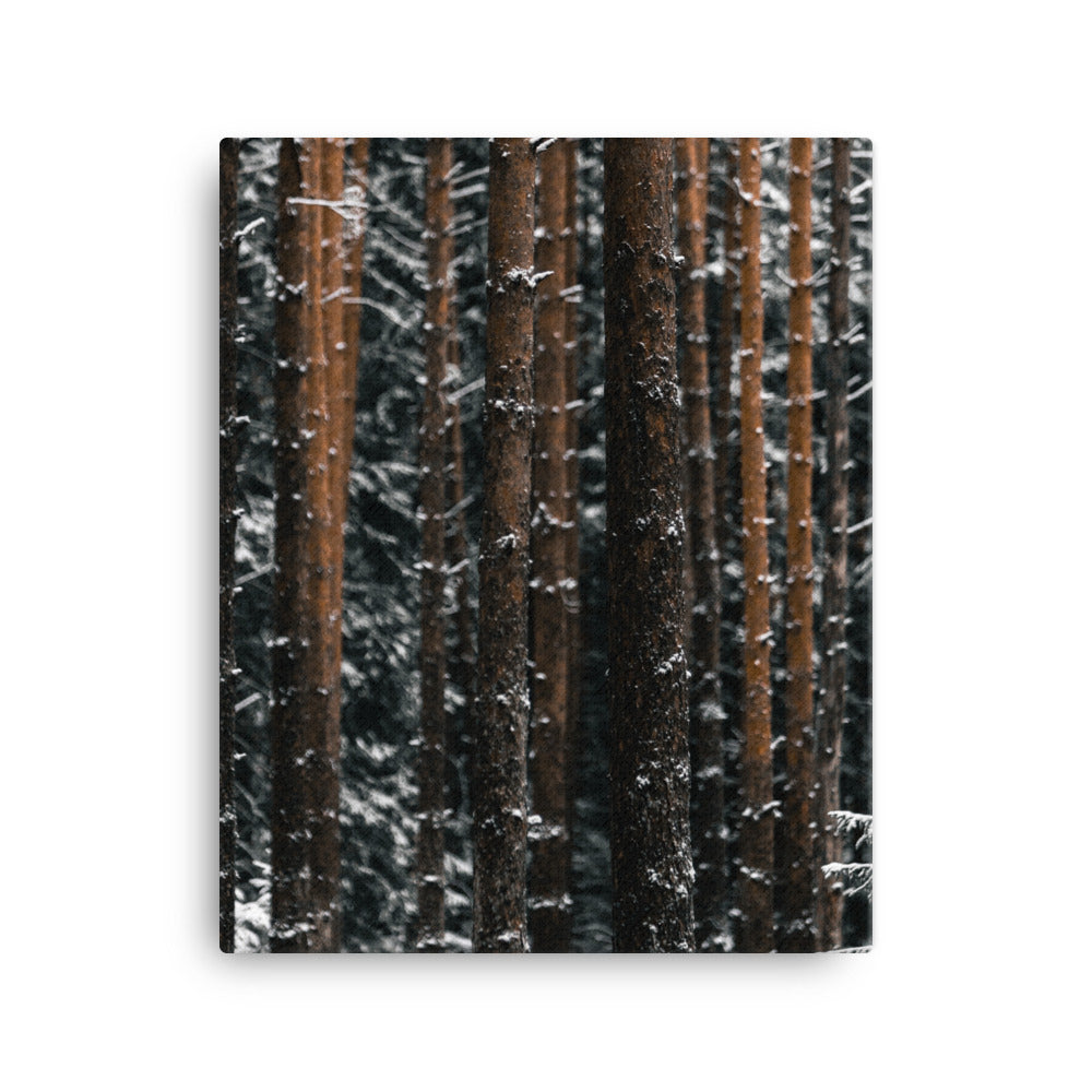 Suomalainen talvikangas