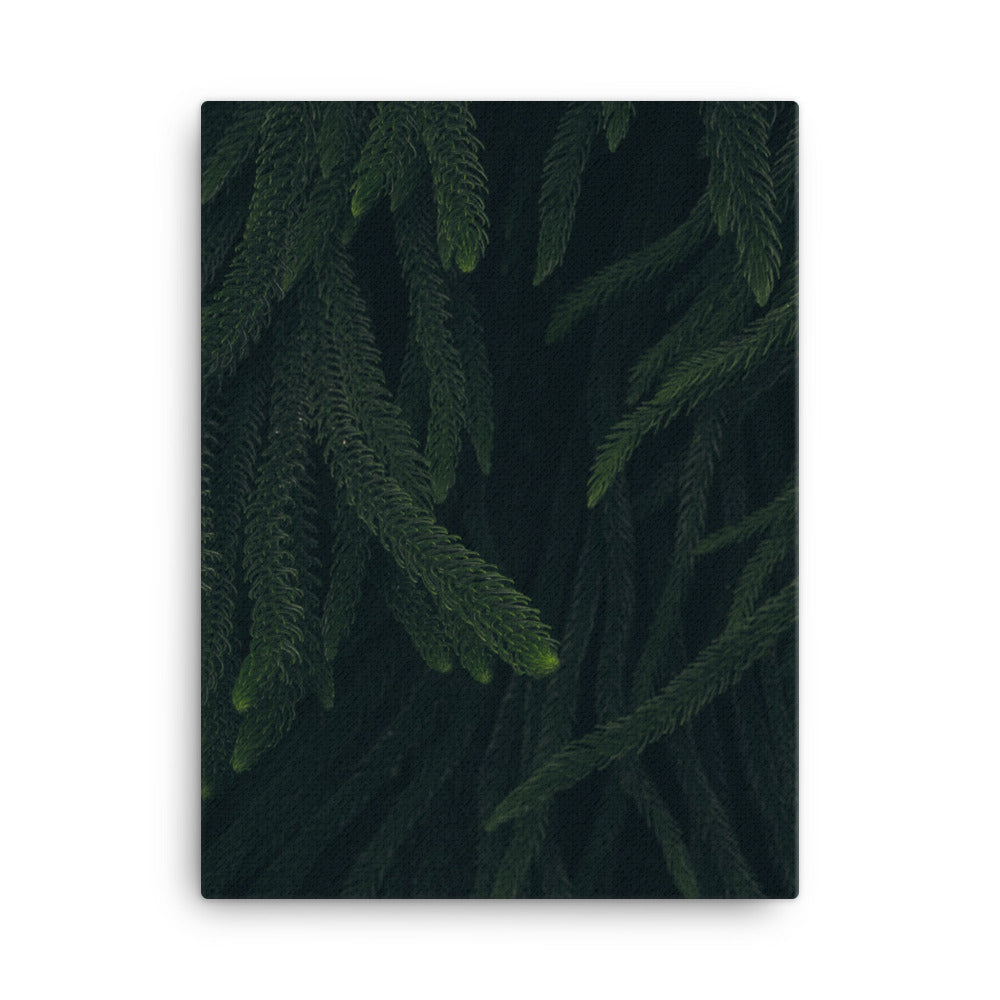Deep woods Canvas print
