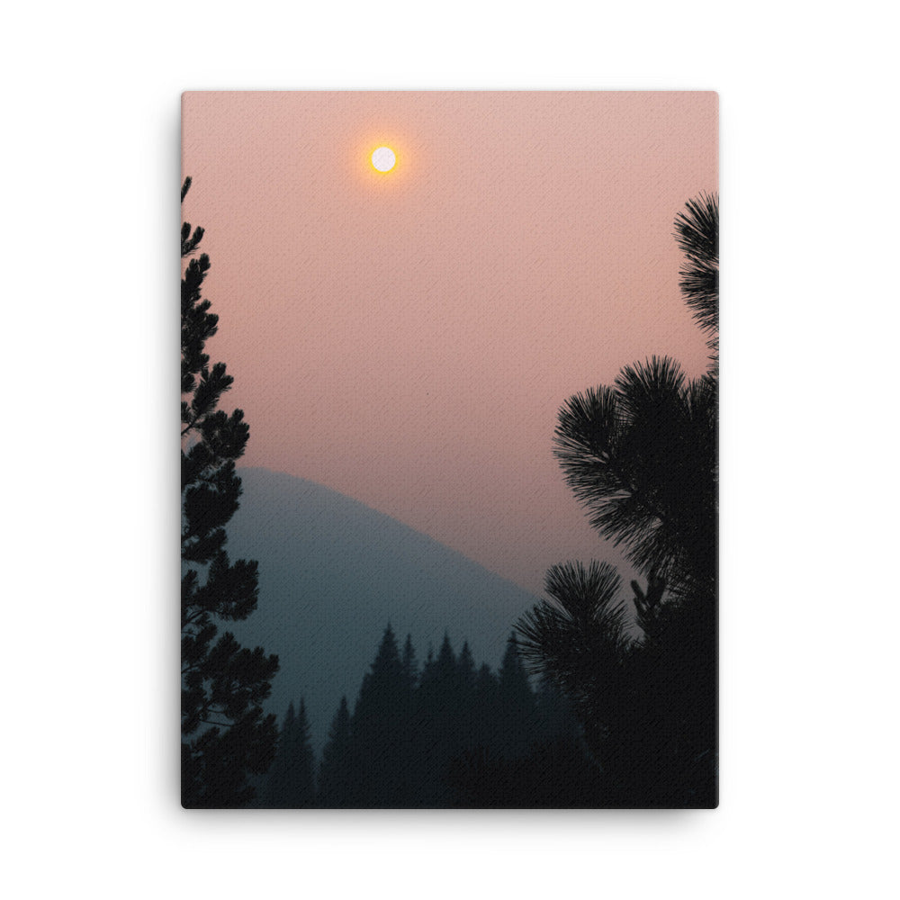 Forest Canvas Print