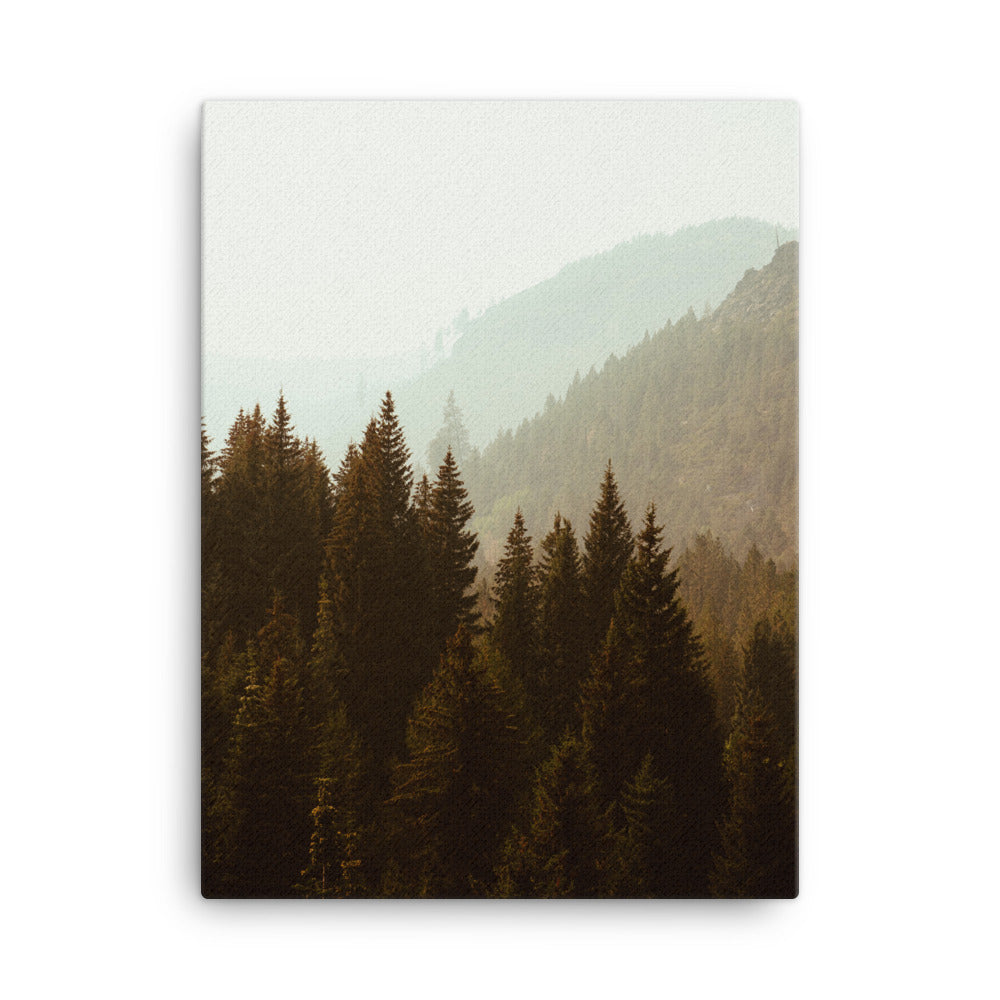 Misty Wood Canvas Print