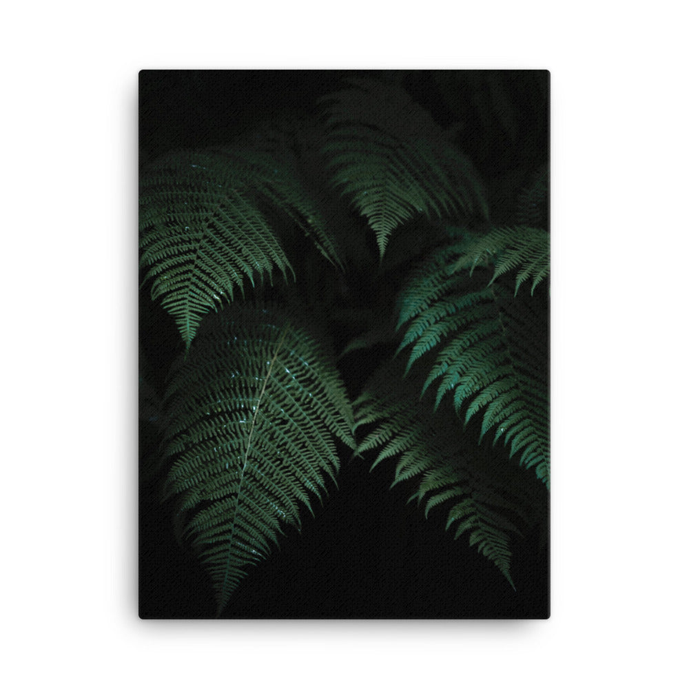 Jungle Canvas