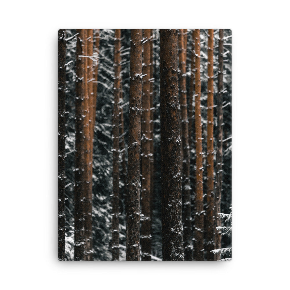 Suomalainen talvikangas