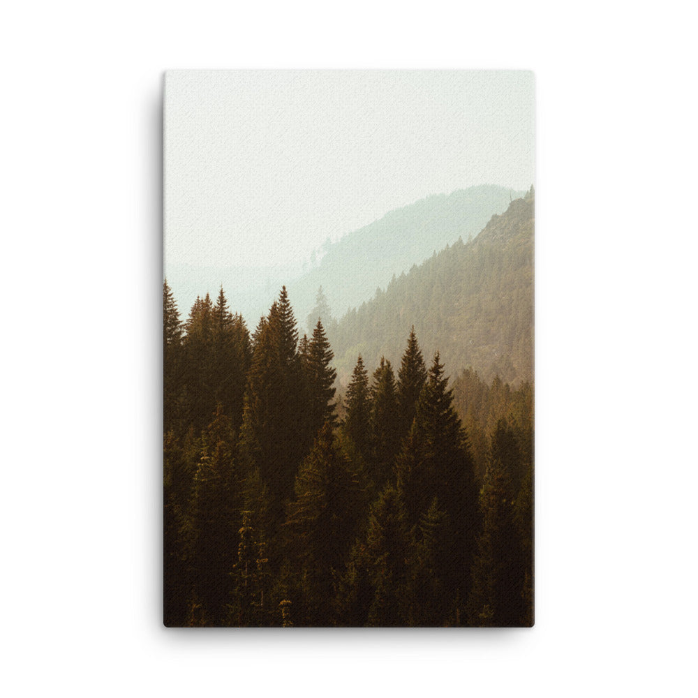 Misty Wood Canvas Print