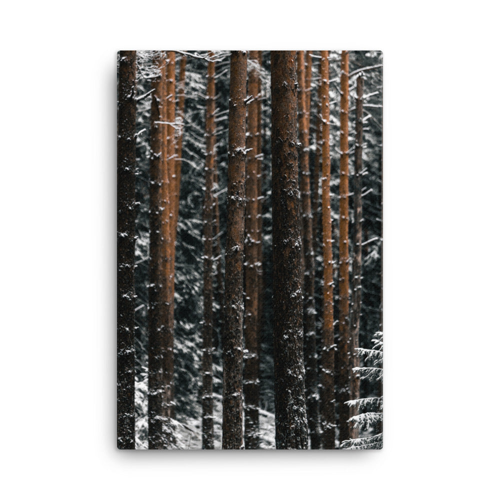 Suomalainen talvikangas